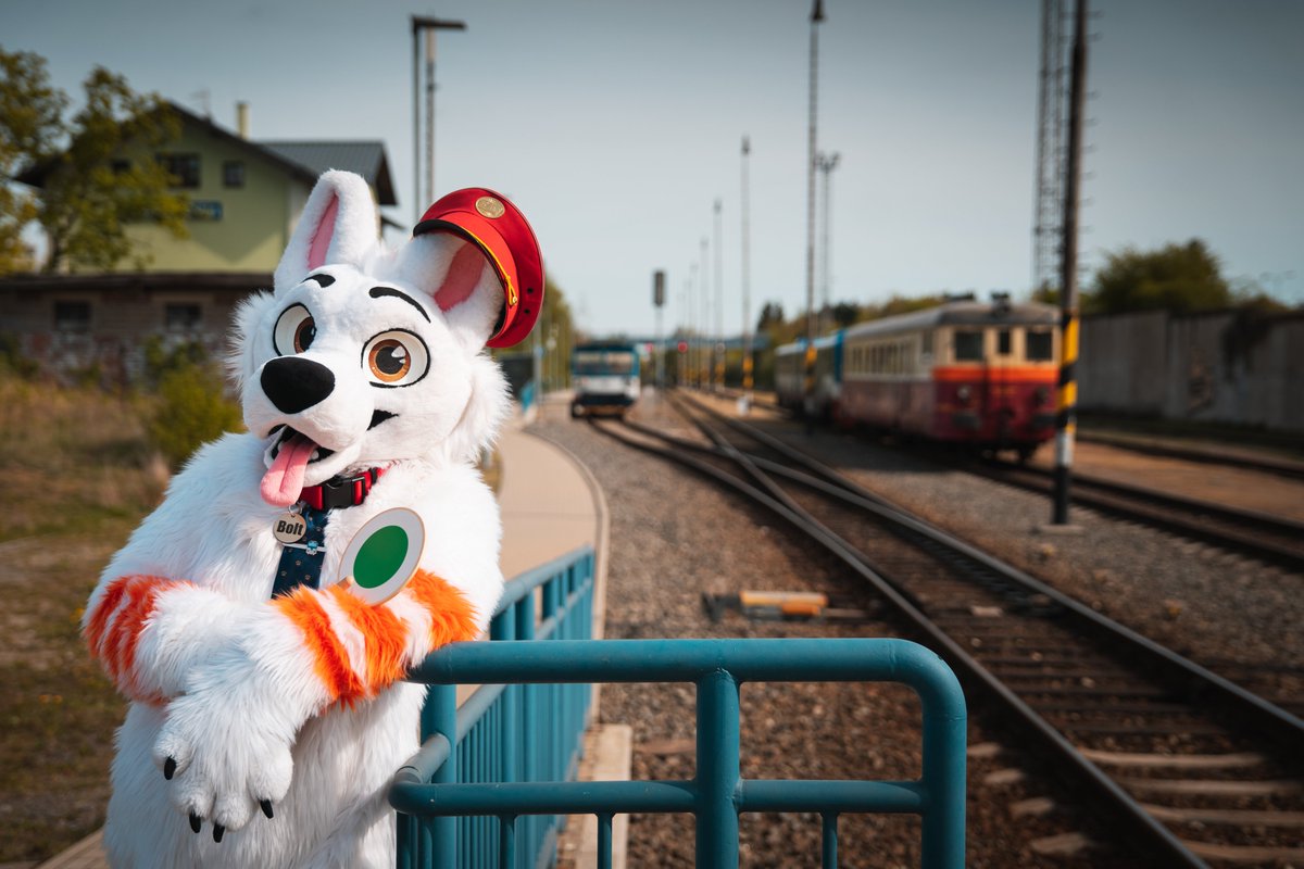 A nice ARFternoon 🐶🚂 📸 @GranyaTheCat #furry #furryfandom #fursuit #fursuiting