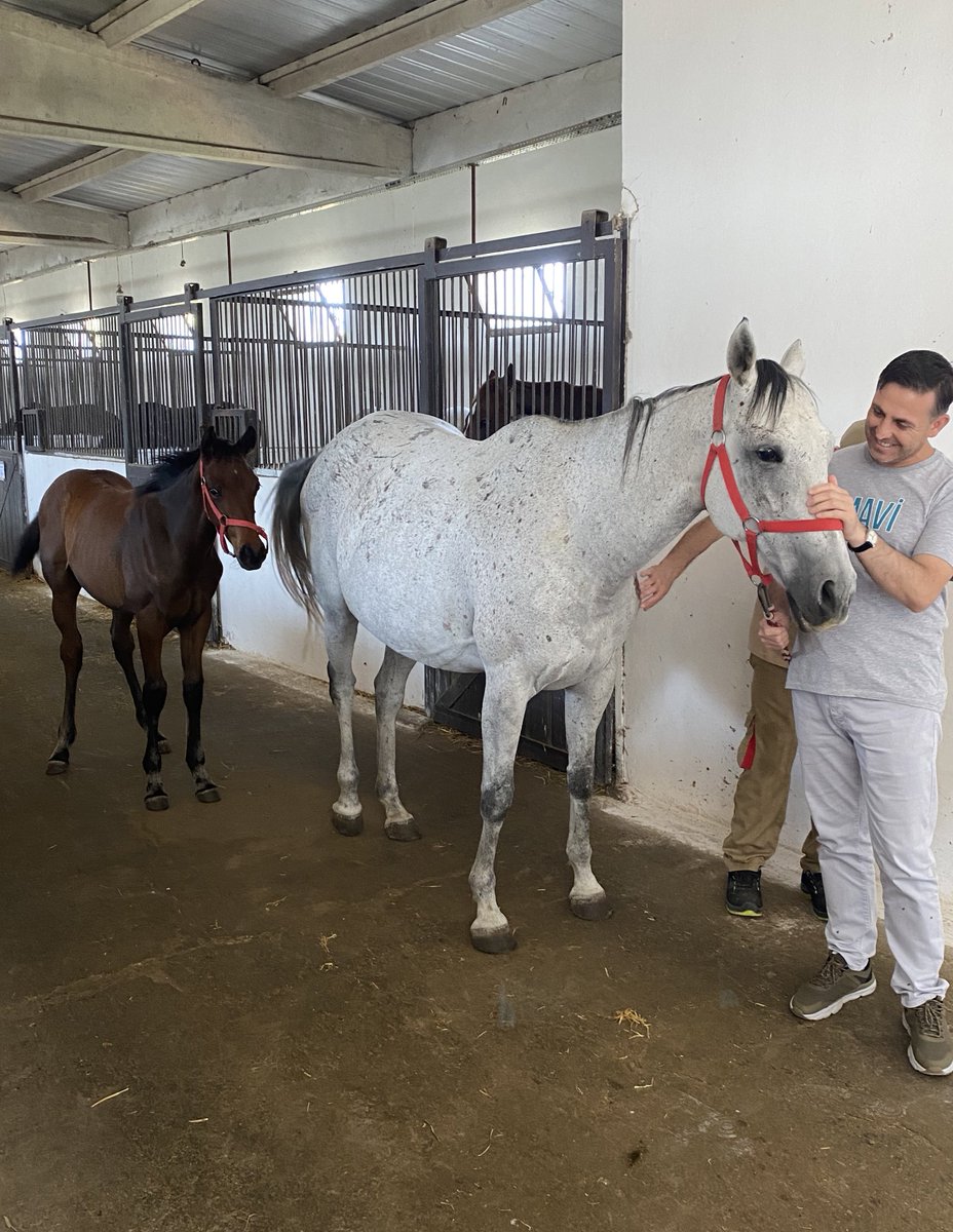 🐎 WHITE LIGHT 🇹🇷 
🧿 Luxor 🇹🇷 - Mono Romantica 🇹🇷, by Divine Light 🇯🇵 

aydinstud.com/sayfa/white-li…