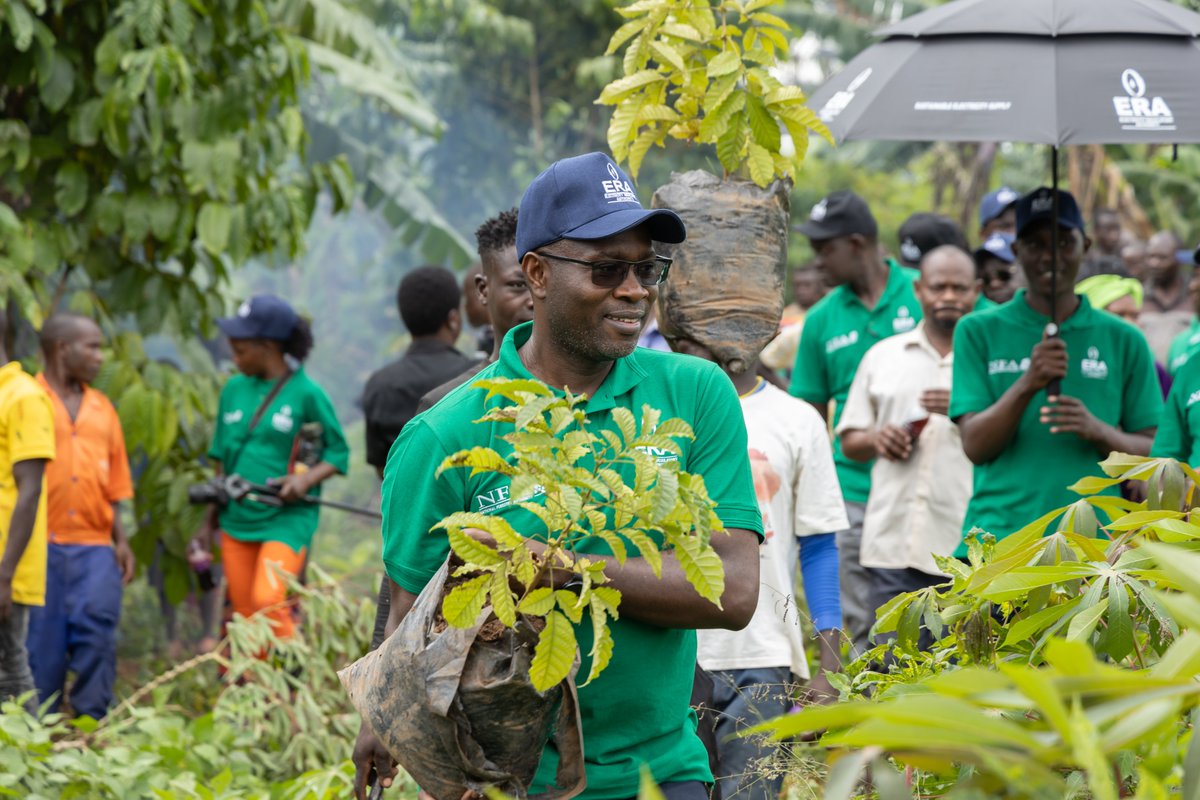 LaneUganda's tweet photo. Phase IV Tree Planting Project @ Mabira forest by @ERA_Uganda in partnership @NFAUG.
@LaneUganda documents the restoration of 15acrs of land in Buikwe District.

#livestreamingenerals #Videography #photography #videoconferencing #graphicdesighners #Eventsmanagement https://t.co/YbyFZJTS08