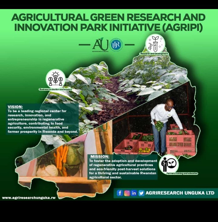 #AGRIPI hosted at @UR_CAVM is a game-changer for ,SustainableAgriculture in Rwanda. Combining efforts from all sectors for a greener future! Read more about this #GreenInnovation initiative here: agriresearchunguka.rw/media/news/agr.