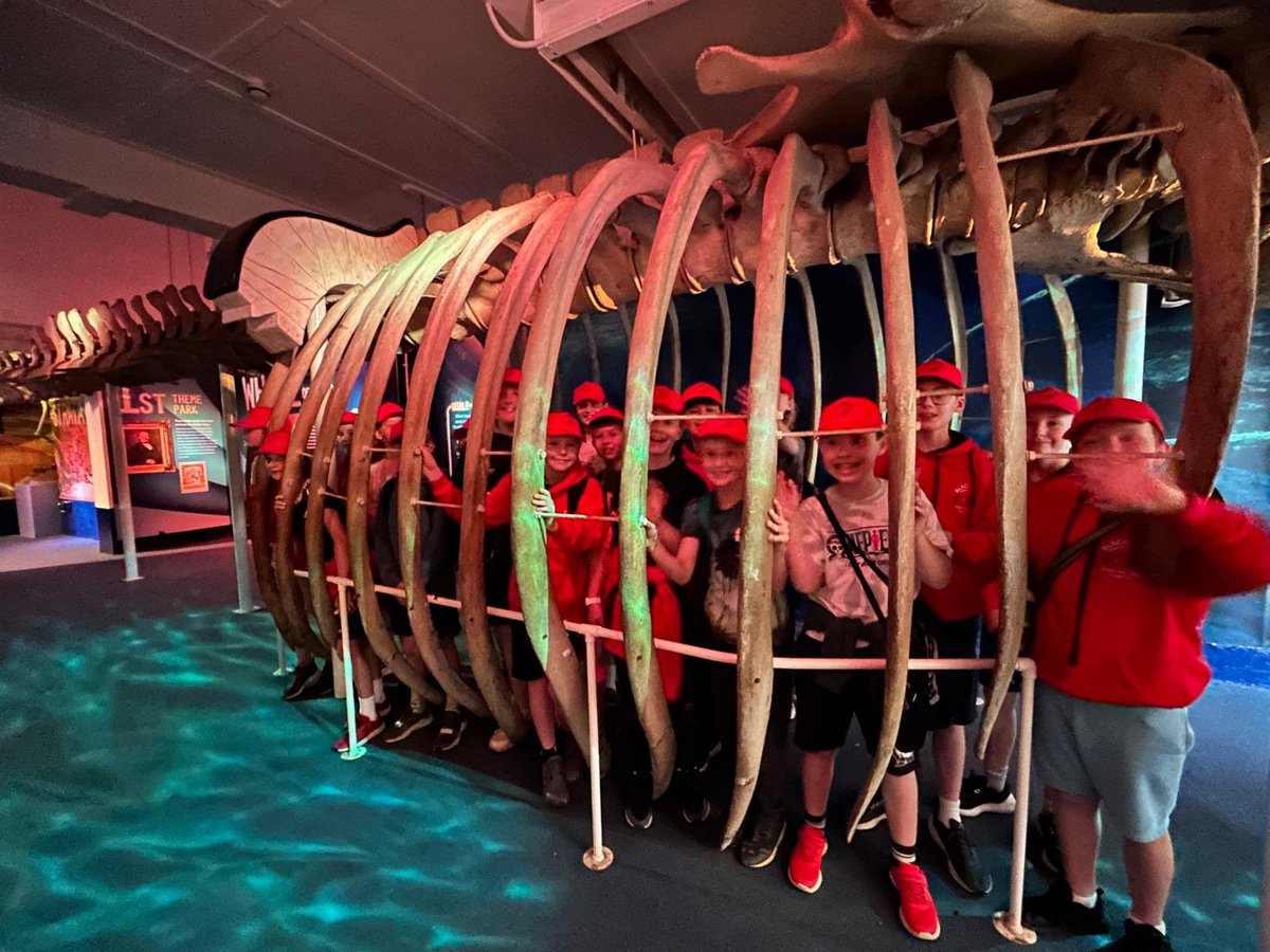 Year 6 are having an amazing day at Blackgang Chine 🎢