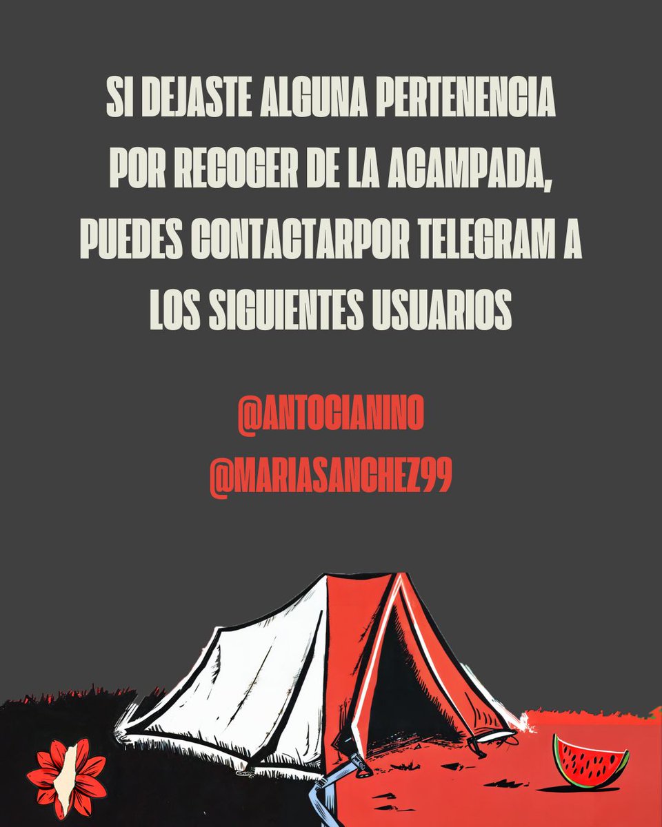 Acampada por Palestina UGR tweet media