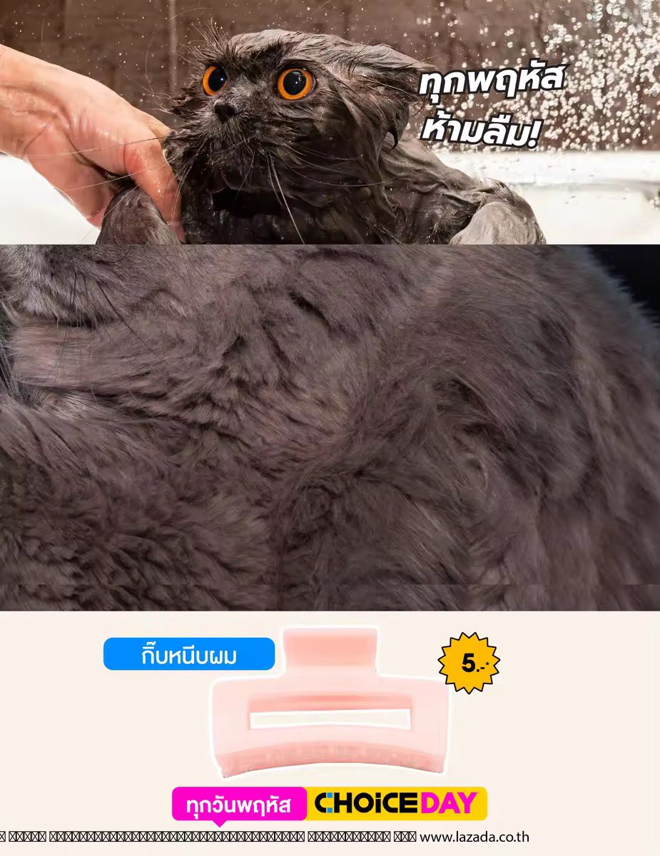 Lazada Thailand tweet media
