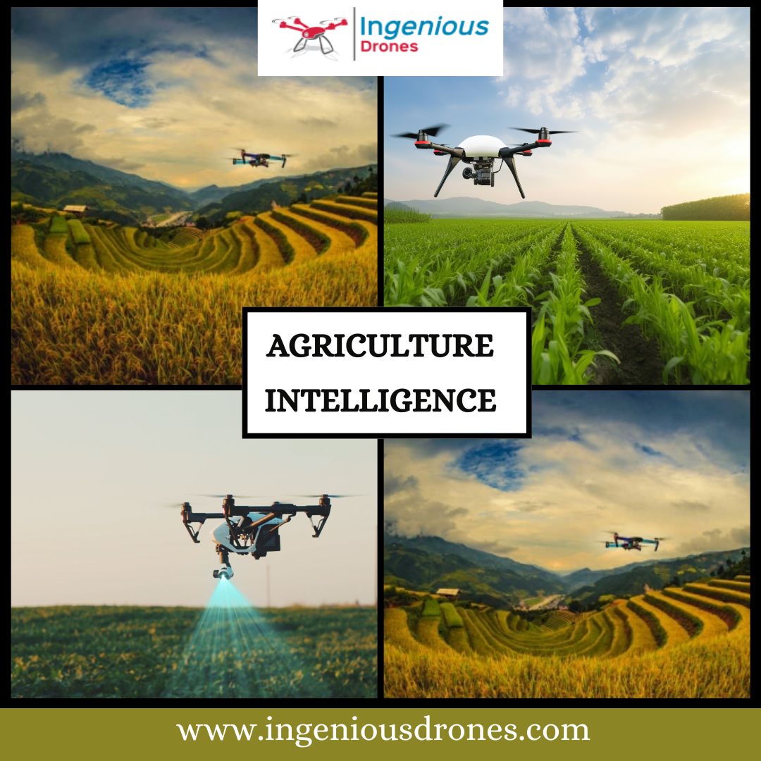 Transforming fields with the power of data: Agriculture intelligence for a sustainable future.

Visit Us : ingeniousdrones.com

#Agriculture #Sustainability #AgriTech #SmartFarming #FarmTech #PrecisionAgriculture #SustainableFarming #AgData #FutureOfFarming