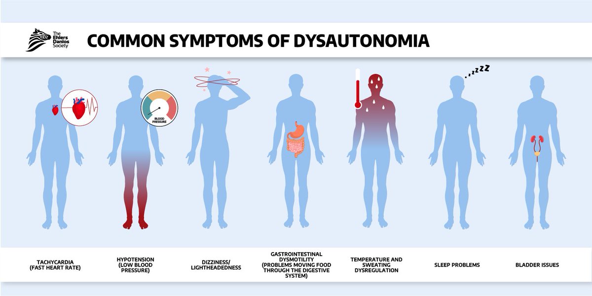 Dysautonomia, also called autonomic dysfunction, is a group of disorders that affect the autonomic nervous system. Many people with Ehlers-Danlos syndrome (EDS) or hypermobility spectrum disorder (HSD) also have a type of dysautonomia. There are different types of dysautonomia