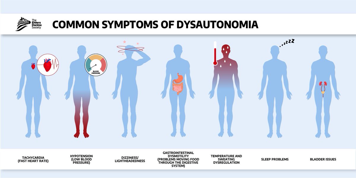 Dysautonomia, also called autonomic dysfunction, is a group of disorders that affect the autonomic nervous system. 

Many people with Ehlers-Danlos syndrome (EDS) or hypermobility spectrum disorder (HSD) also have a type of dysautonomia. There are different types of dysautonomia
