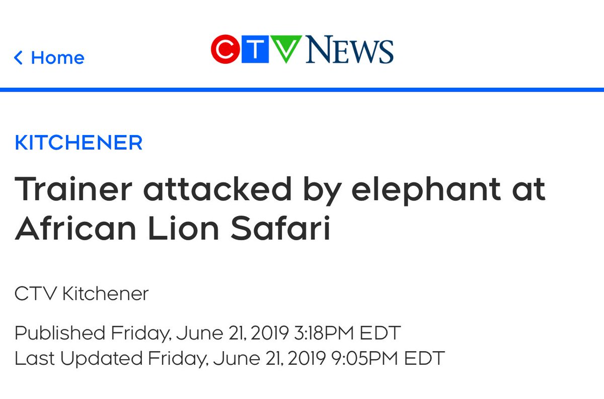 African lion safari has a terrible reputation with elephants from rides to attacks 👇👇👇👇 kitchener.ctvnews.ca/trainer-attack…