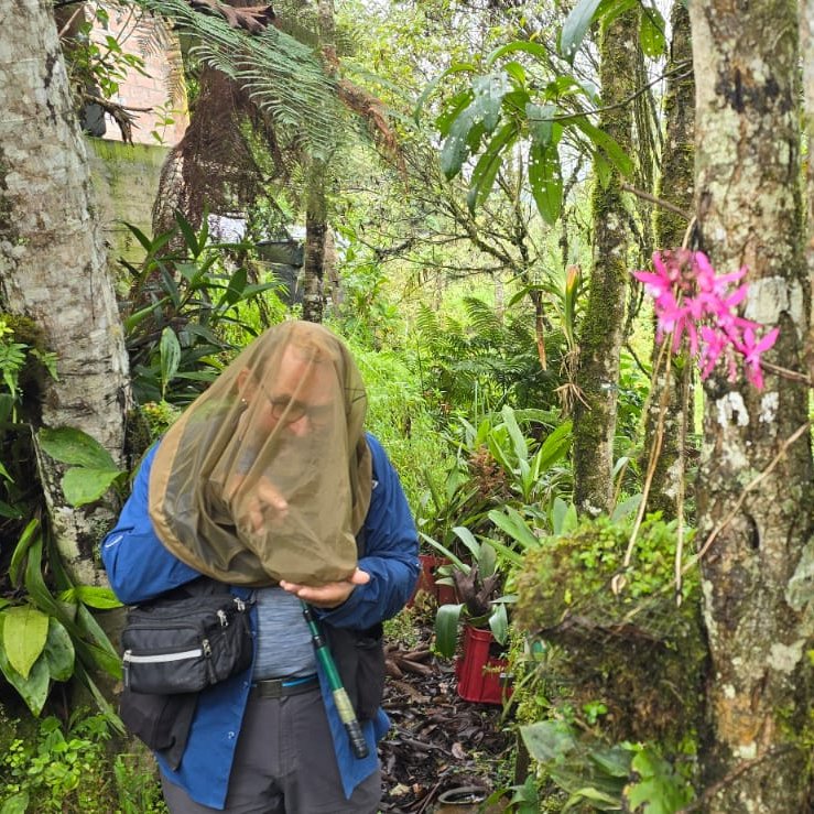 NatSciNMS's tweet image. Principal Curator of Invertebrates, Dr Vladimir Blagoderov, has recently been on expedition to Northern Peru. 

This species discovery mission was to document the diversity of Fungus gnats - an ecologically important but understudied group of flies 🪰

#NameItToSaveIt #Taxonomy