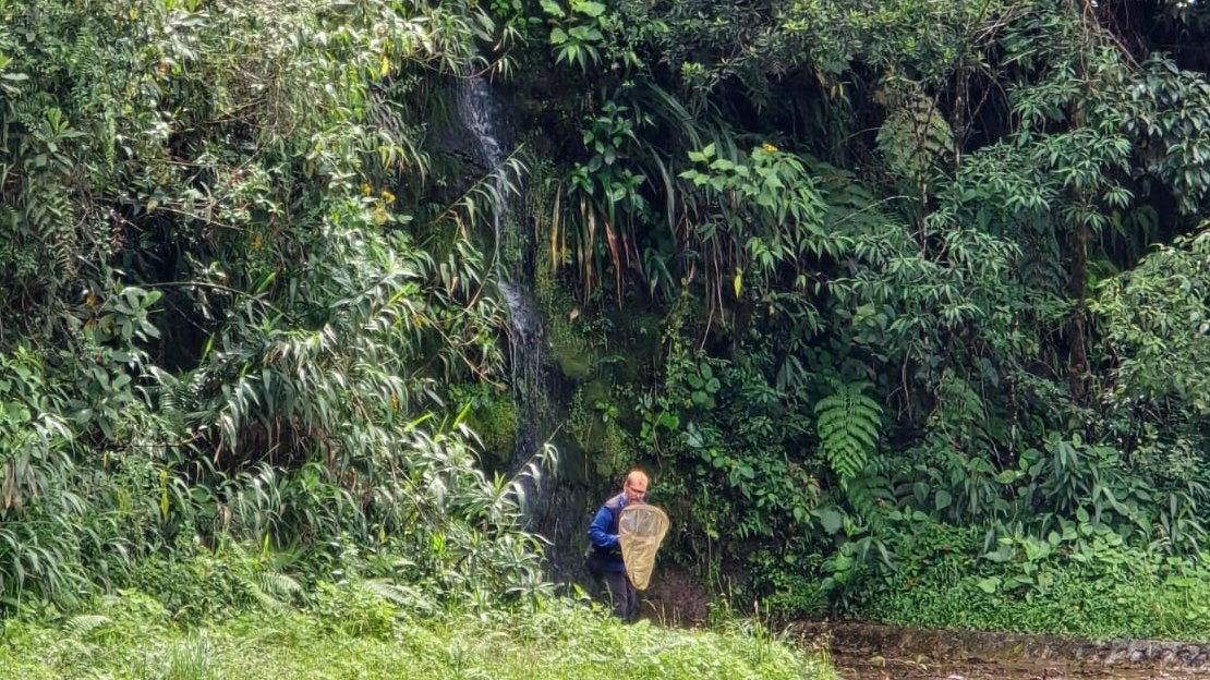 NatSciNMS's tweet image. Principal Curator of Invertebrates, Dr Vladimir Blagoderov, has recently been on expedition to Northern Peru. 

This species discovery mission was to document the diversity of Fungus gnats - an ecologically important but understudied group of flies 🪰

#NameItToSaveIt #Taxonomy