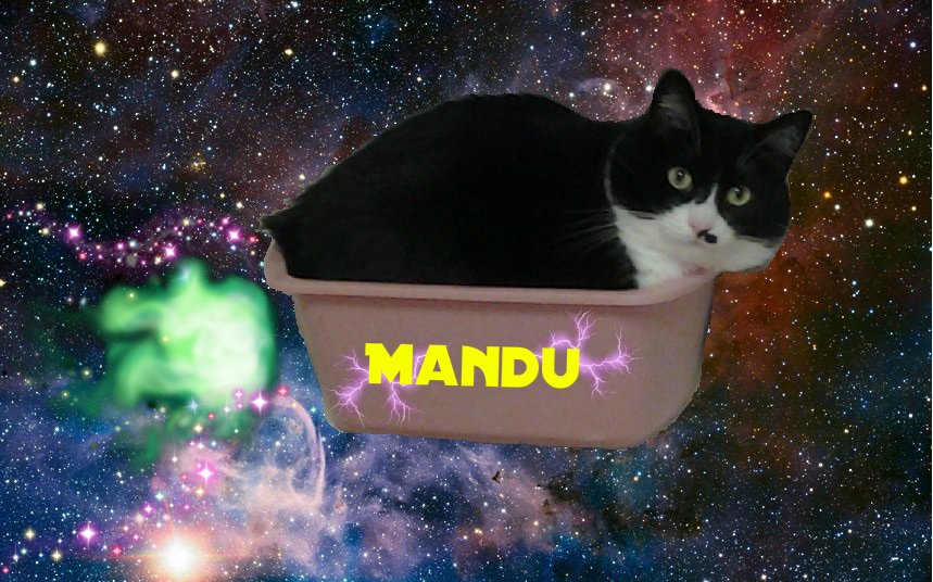 phycoinsc's tweet photo. Happy #ThrowbackThurdday to my day in space everyone! 😻 Have a great day! 🎈 Lubs yous all TONS! 🐈⬛🐾❤️ @TribeOfMa @Andrea56822453 @annin328 @chalkymacalpi @HelenaG78377104 @IzzyTizzy5 @MightyMolasses @ndcenzo @NicaTheCato @PrimroseTheCat_ @TuxTedTabbyMag @thesnackpak5 https://t.co/qKvqfqqF3I