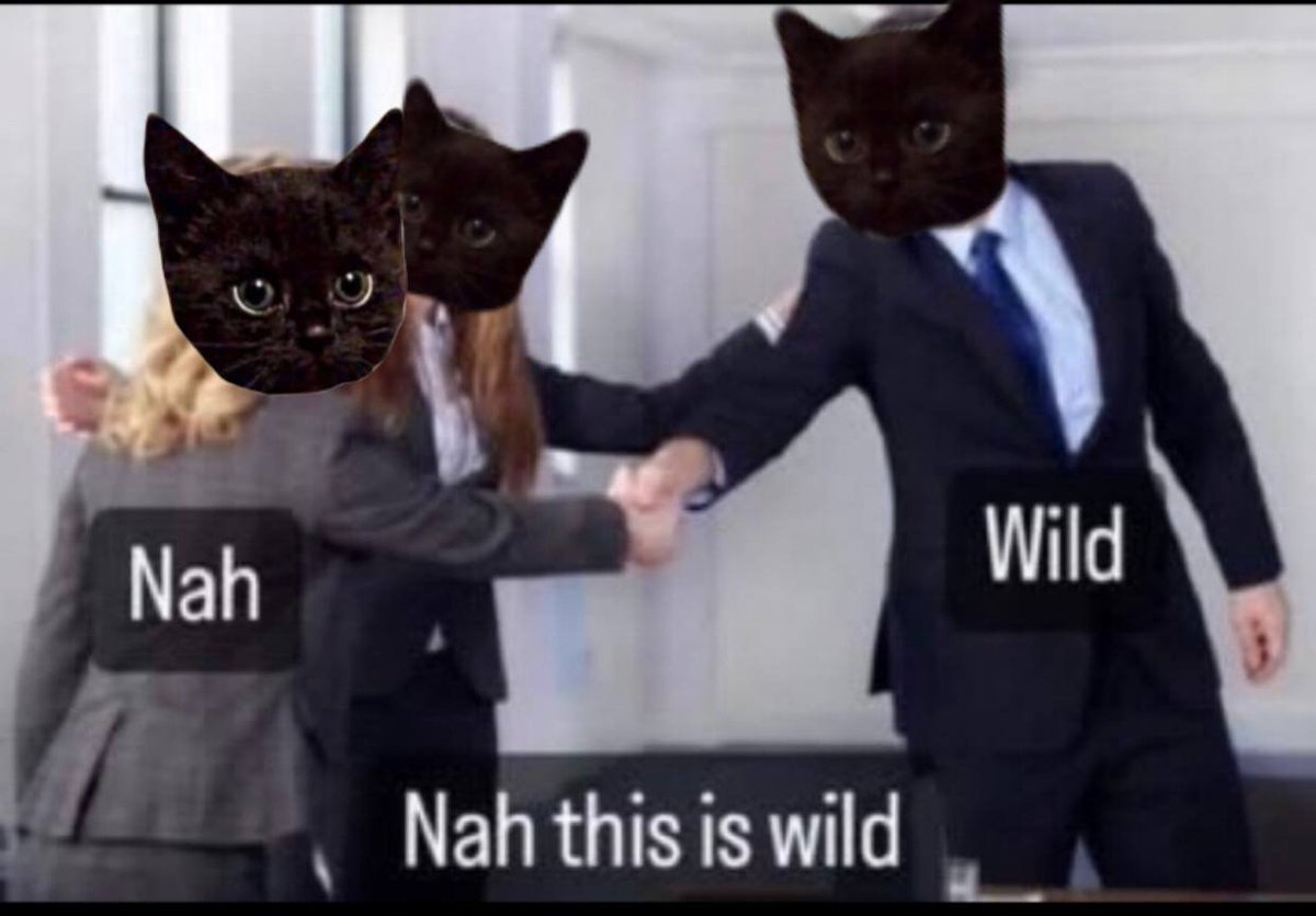 nigisolana's tweet image. JUST IN: CNBC discusses the possibility of a spot Nigi ETF being approved after Ethereum.

@NIGIsolana