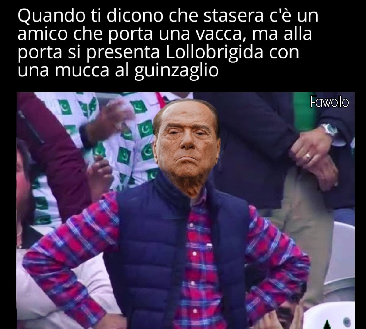 #Lollobrigida #Berlusconi