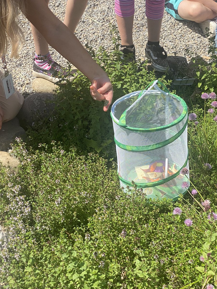 Sam Rust tweet media