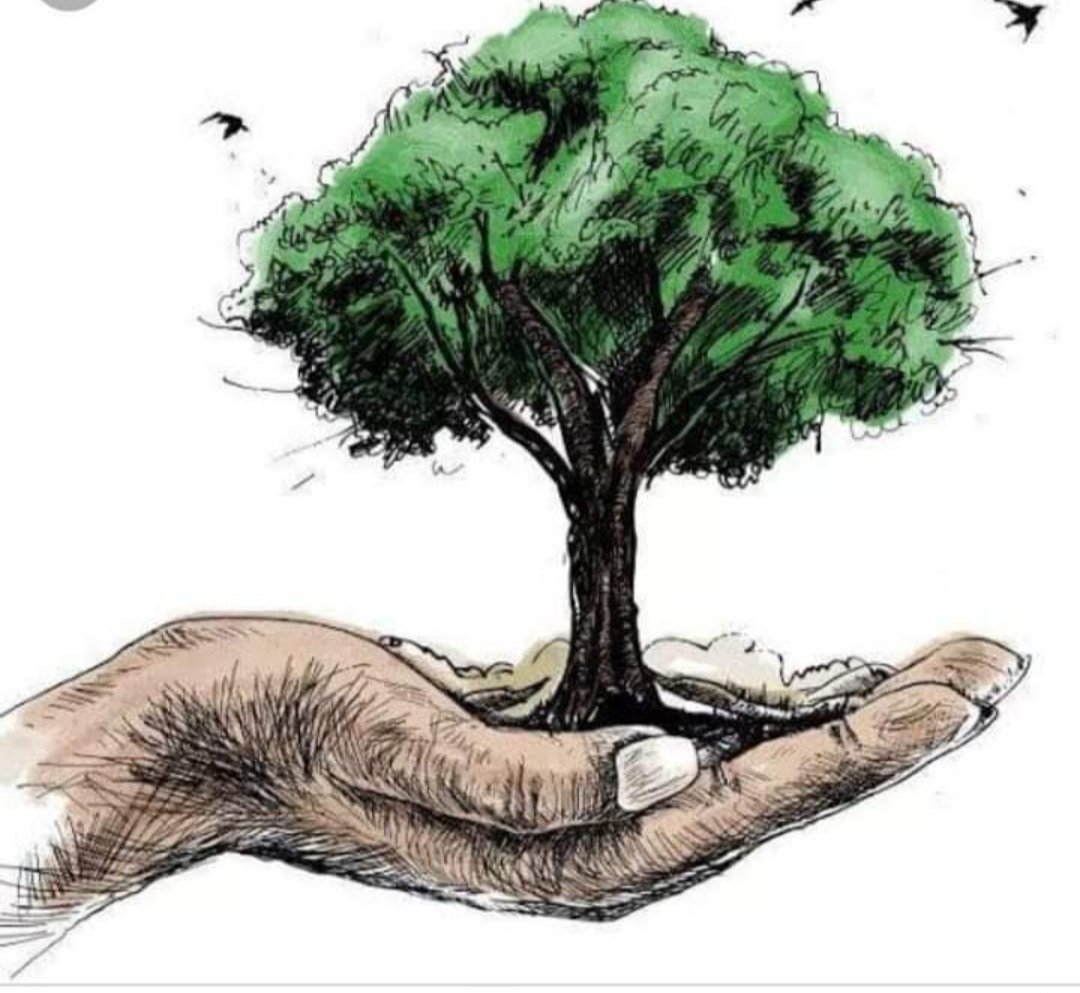 Respect habitats for biodiversity: Trees provide shelter and food for numerous species of animals and insects, contributing to biodiversity.
#SaveSoil
#CauveryCalling #ClimateAction
#InternationalDayForBiologicalDiversity