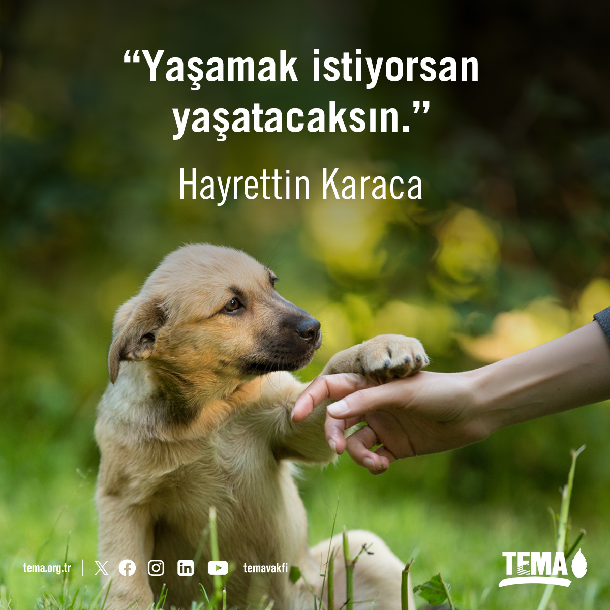 “Yaşamak istiyorsan yaşatacaksın.” Hayrettin Karaca #YaşamEnTemelHaktır