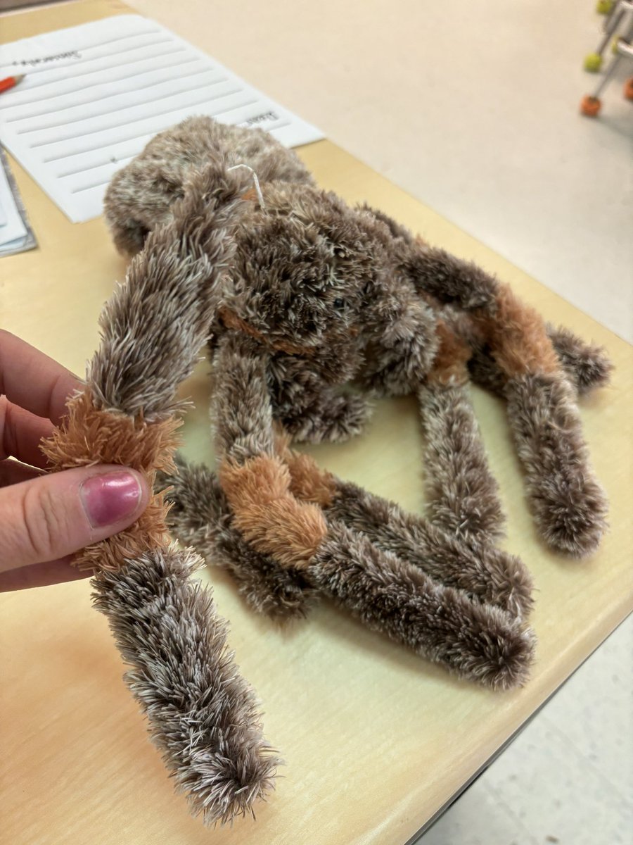Alexis Siddons (@mrssiddonsart) on Twitter photo One of the perks of being the art teacher: Being entrusted with a fav stuffy to repair since the kiddos know we learn how to sew in the fiber arts studio. <a href="/NBSPTO/">North Barrington PTO</a> <a href="/law281/">Dr. Lisa West</a> <a href="/220Arts/">Barrington 220 Fine Arts</a> <a href="/D220ElemArt/">D220 Elem Art</a> One of the perks of being the art teacher: Being entrusted with a fav stuffy to repair since the kiddos know we learn how to sew in the fiber arts studio. <a href="/NBSPTO/">North Barrington PTO</a> <a href="/law281/">Dr. Lisa West</a> <a href="/220Arts/">Barrington 220 Fine Arts</a> <a href="/D220ElemArt/">D220 Elem Art</a>