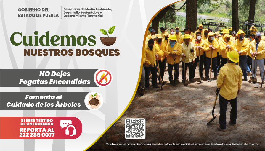 Una quema agropecuaria sin supervisión ⚠️, puede terminar con la vida en los bosques 🏞️. Prevenir incendios forestales 🔥🌳 ¡está en nuestras manos! 🔴Reporta al 2222 86 00 77 y 2222 86 22 68 🤳