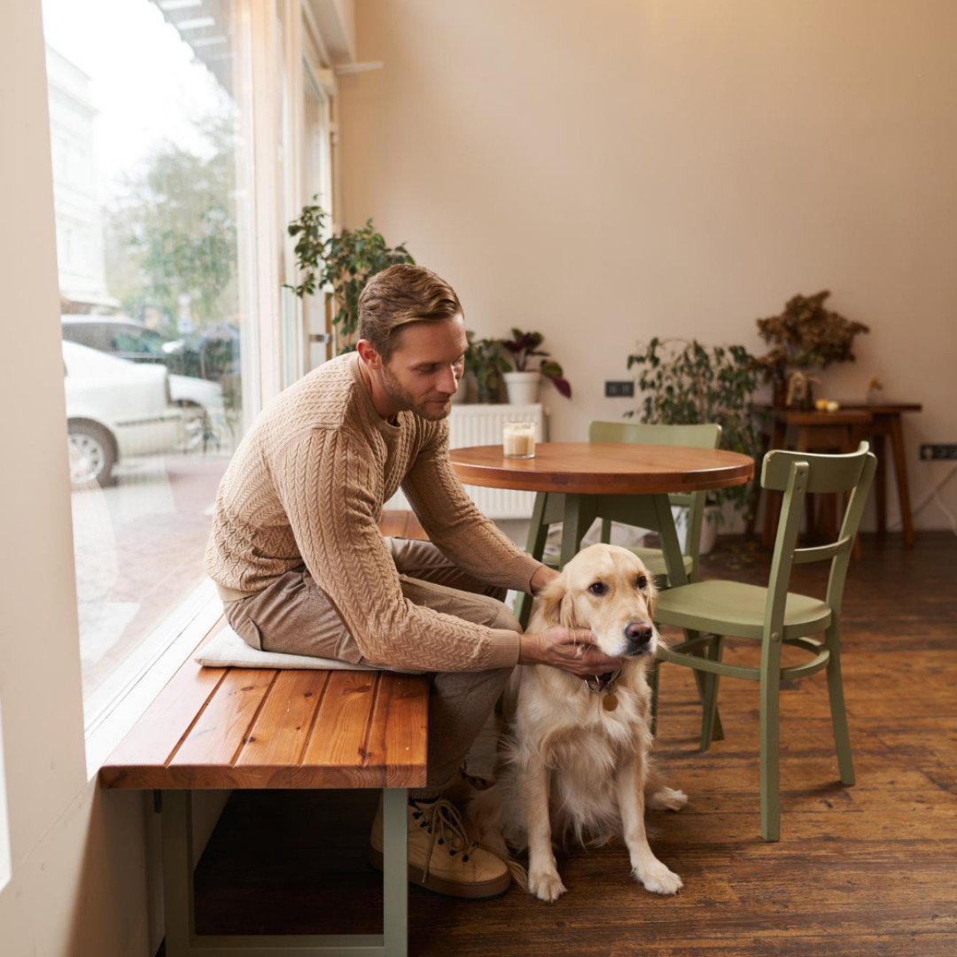 petfriendlyio's tweet photo. Try to Guess this city: Which City is Leading the Pack in Pet-Friendly Living?

Comment your guesses below!
👇👇👇👇 https://t.co/CgI3OfOti5