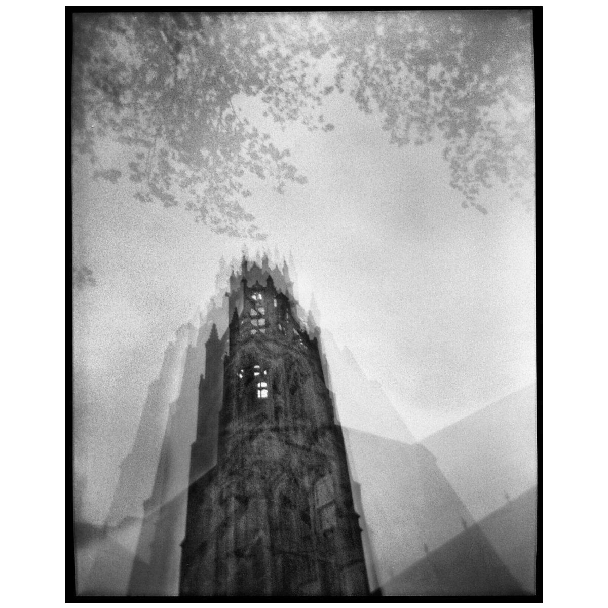 Rotation Holga 120 FN #filmphotography #believeinfilm #kentmere400