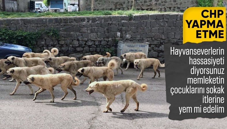 Sahiplendirilemeyen sokak köpeklerinin uyutulmasına karşı çıkan Özgür Özel, hayvanseverlerin hassasiyetlerine dikkat çekti ensonhaber.com/gundem/ozgur-o…