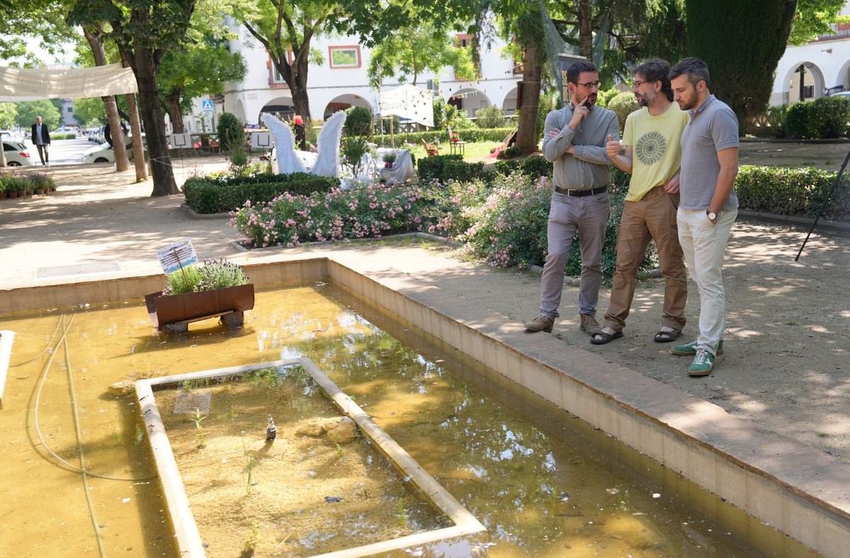 ⛲️ La bassa de la plaça de l’Assumpció s'ha millorat juntament amb veïns i veïnes de St Narcís (@AVSantNarcis): 🌱Plantació vegetació aquàtica per afavorir fauna i flora autòctones. 💦Solucionades les pèrdues aigua. 🦎Rampes per animals que hi cauen. 👉 web.girona.cat/noticies?id=12…