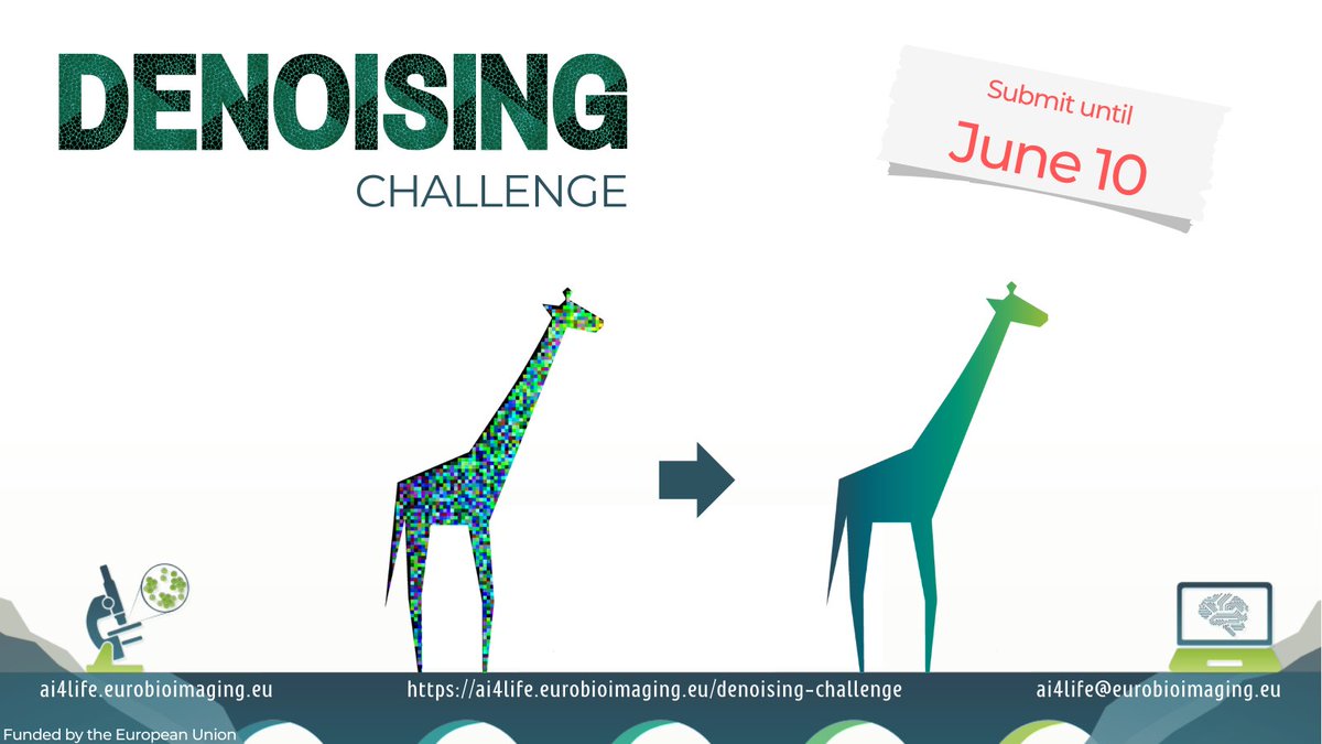 🚀 The AI4Life Denoising Challenge is now open for submissions!
🔍 Explore different datasets and showcase your skills in image denoising by competing on any of the four leaderboards: 2 on structured and 2 on unstructured noise.
📥 Submit by June 10th!