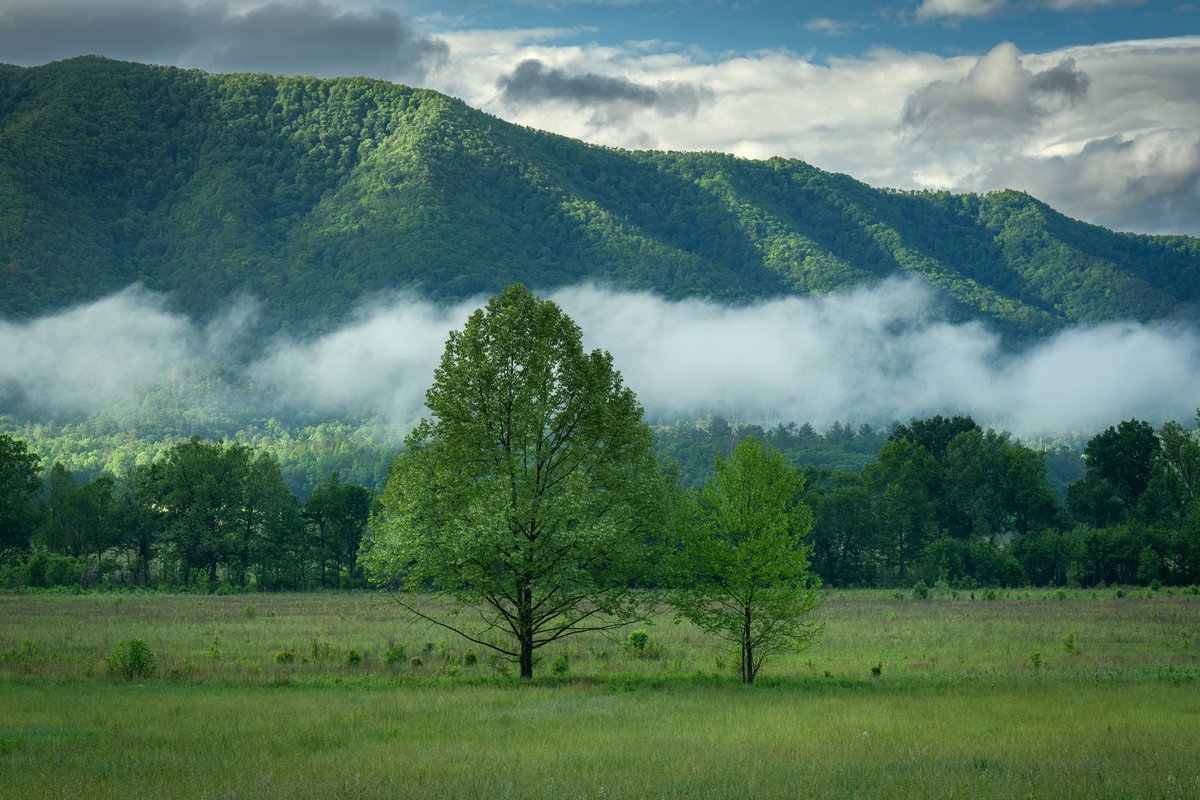 Smoky Mountains scenes... #photography #naturephotography #landscapephotography #thelittlethings