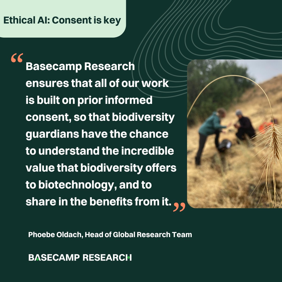 Consent is key to great AI. At @Basecamp_Res, we've shown you can create cutting-edge AI while ethically sourcing 100% of the data. We built the largest biodiversity database and can trace each data point not only to the land owner’s consent but also a benefits-sharing agreement