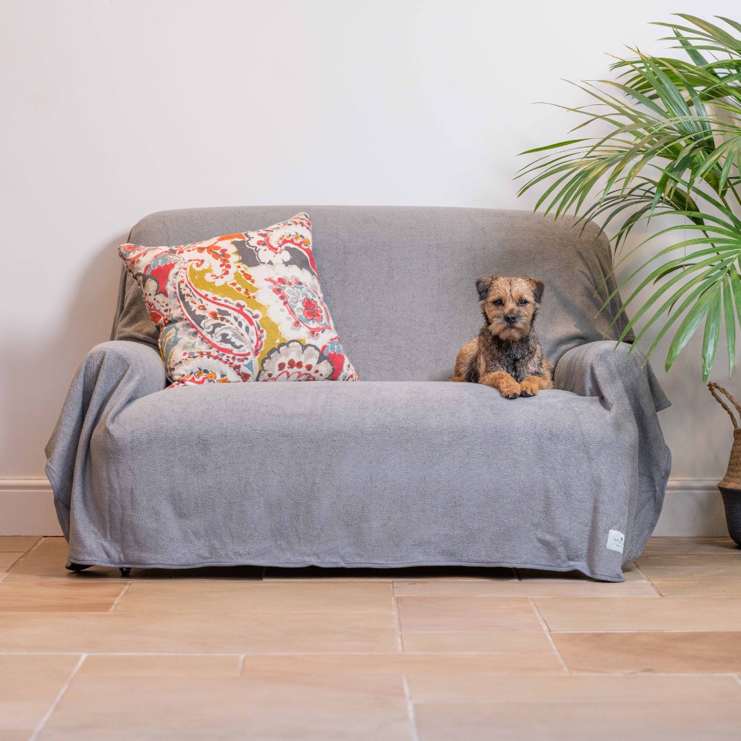 20% off Throws! And EVERYTHING on our website too! 🎉 These dog-friendly Throws are fast sellers because they WORK - they cover, they're big, they stay put, they're absorbent and look stylish. SHOP: ow.ly/EHen50ROrNF