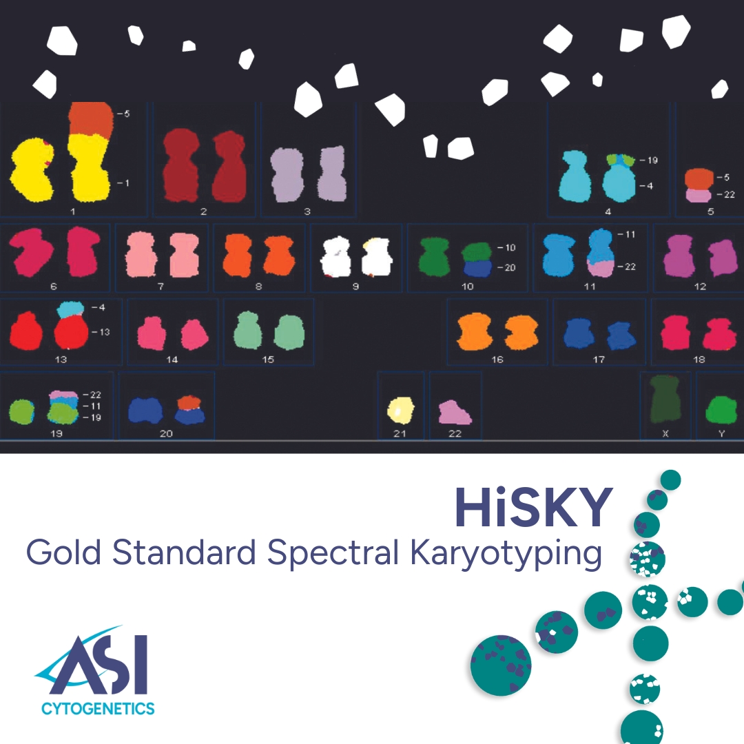 ASImaging's tweet photo. Discover the power of HiSKY Gold Standard for spectral karyotyping.
Precise multi-color FISH analysis, automatic translocation identification, and a probe kit for human & mouse samples.
Elevate your research today! https://t.co/6oKP0sGQQK
#Genetics #HiSKY #ResearchInnovation https://t.co/GhORgf7qxX