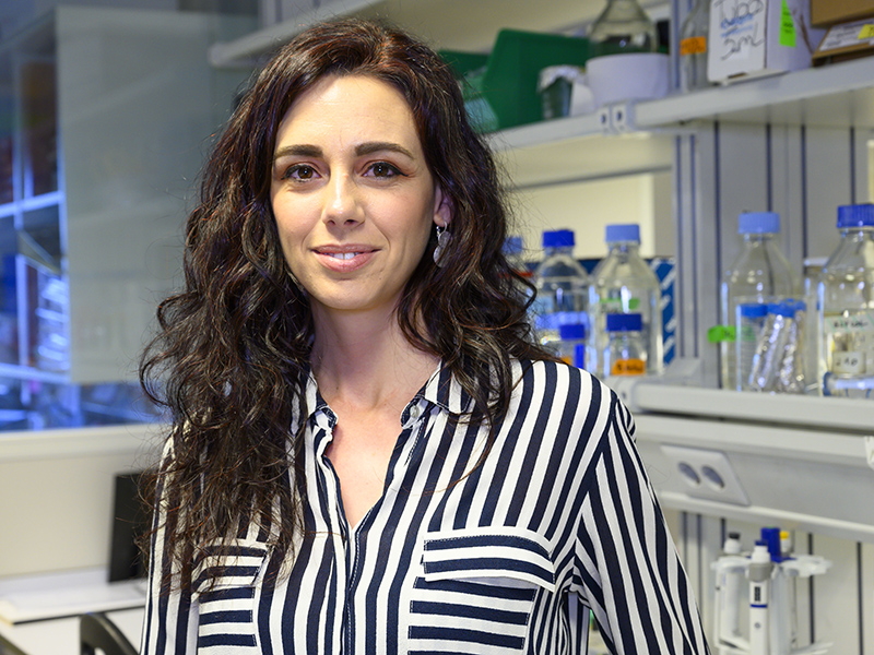 🎖️La investigadora María Llorens-Martín (@LlorensLab), premiada con el Boehringer Ingelheim FENS Research Award 2024, uno de los galardones más destacados en neurociencias. La científica del @CBM_CSIC_UAM estudia la neurogénesis hipocampal en adultos. ➡️bit.ly/3QXNUrH