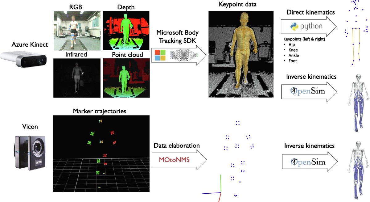 😃New article published in J Biomech! 'Inclusion of a skeletal model partly improves reliability of lower limb joint angles during a wide range of movement assessments recorded using a markerless depth camera', by Collings et al. 👀sciencedirect.com/science/articl… #journalofbiomechanics
