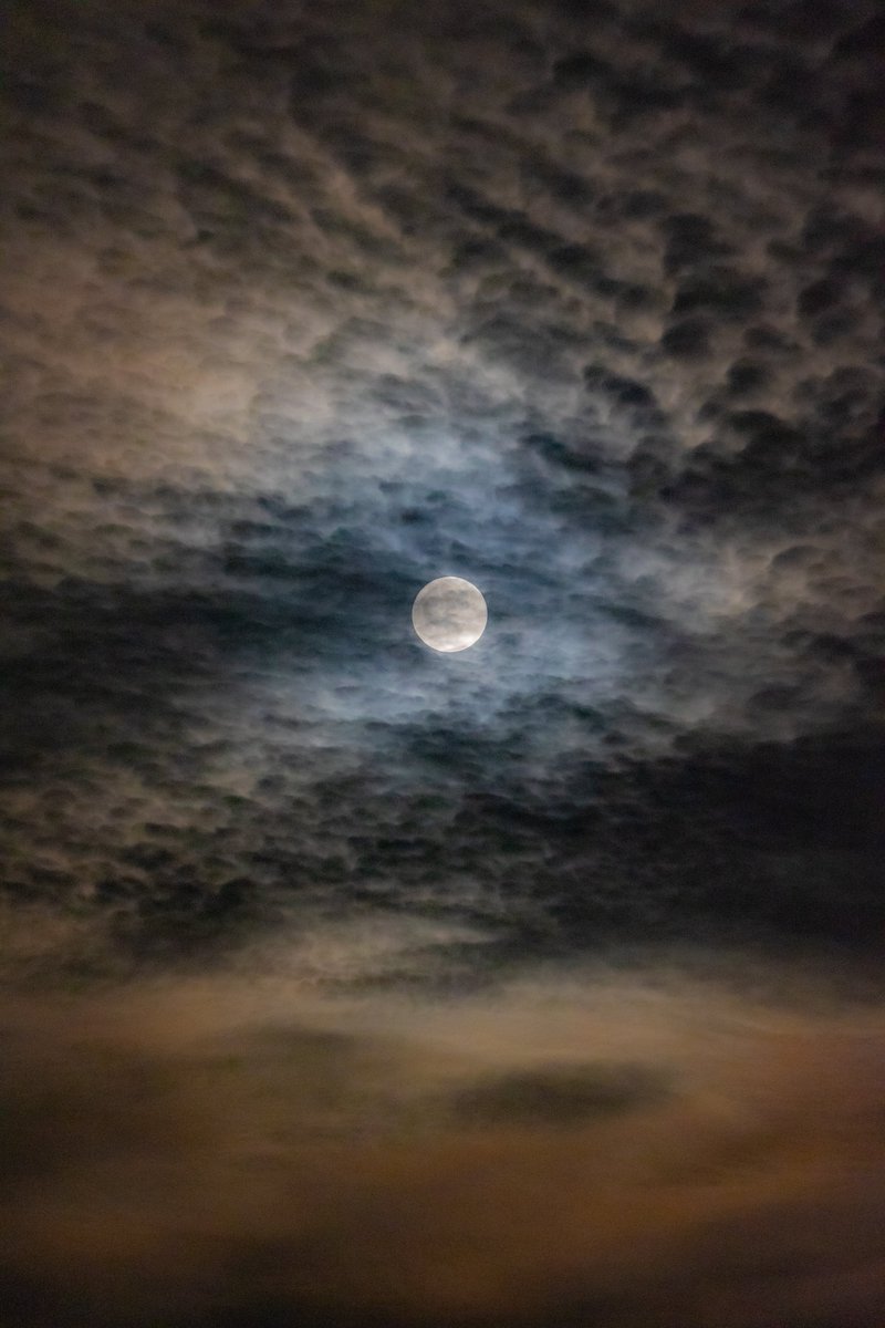 満月🌕 #フラワームーン