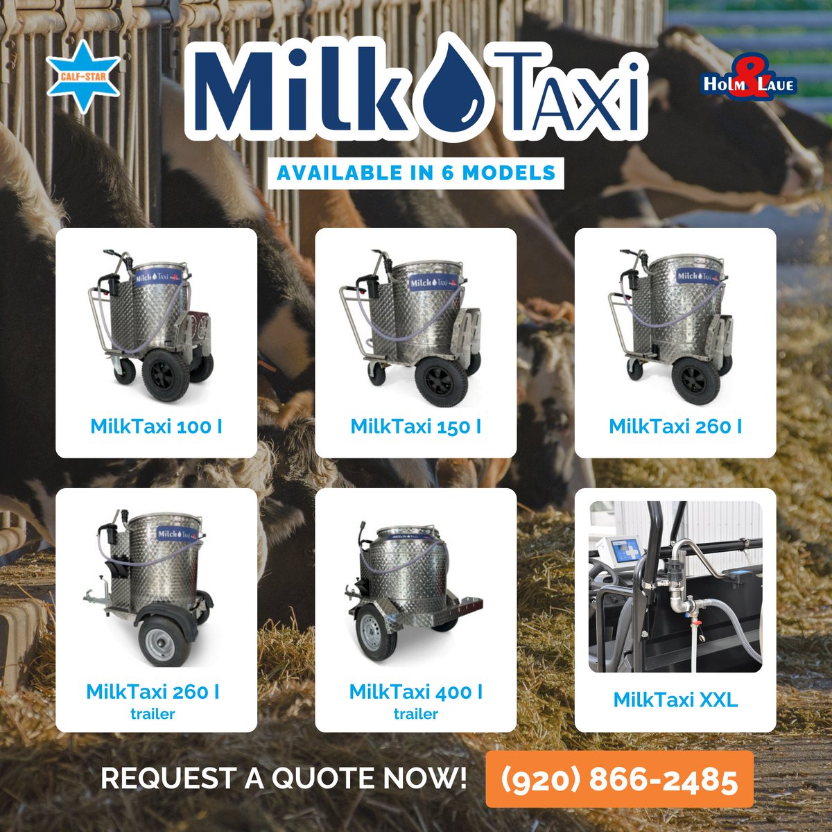 Calf Star tweet media