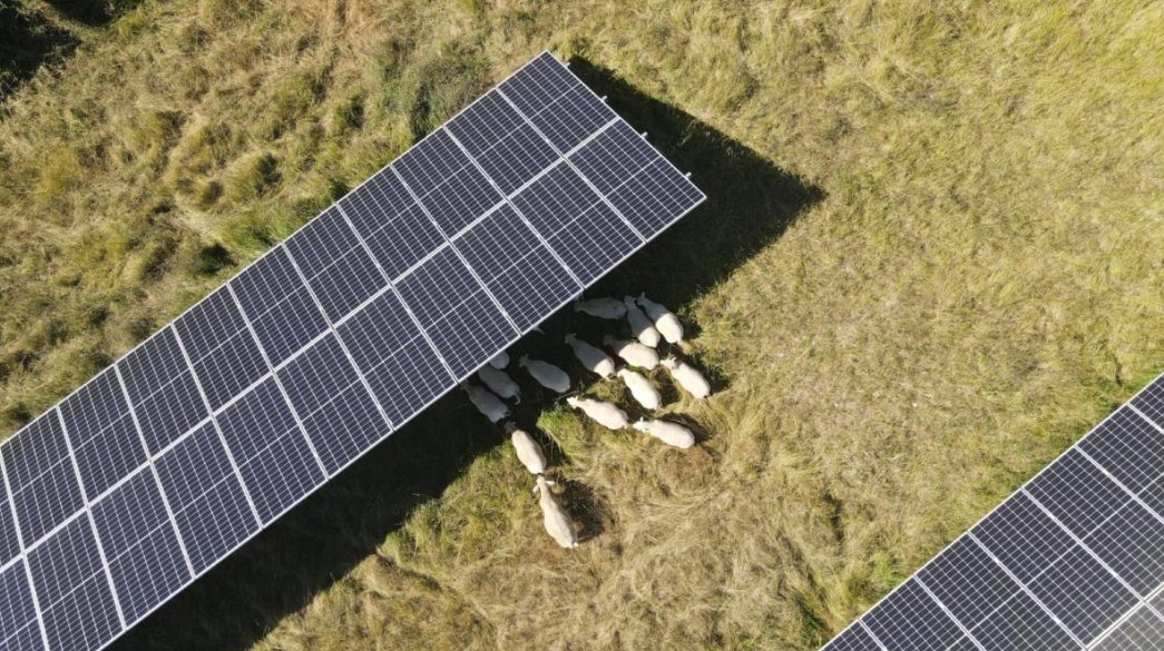 Valorem signe un PPA pour une centrale solaire située sur terrain agricole: Le producteur d'énergies renouvelables a signé un contrat d'achat d'électricité de près de 12,4 GWh avec le groupe Alliance, fédération… dlvr.it/T7HXmt #solarenergy #France #Énergierenouvelable