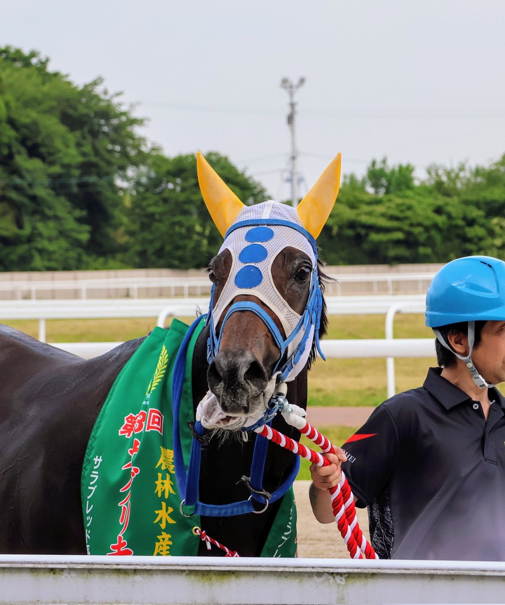 24/5/23 笠松競馬12R
オグリキャップ記念

3頭の叩き合いを制した
タイガーインディ
廣瀬航騎手
おめでとうございます🎉

#オグリキャップ記念
#笠松競馬