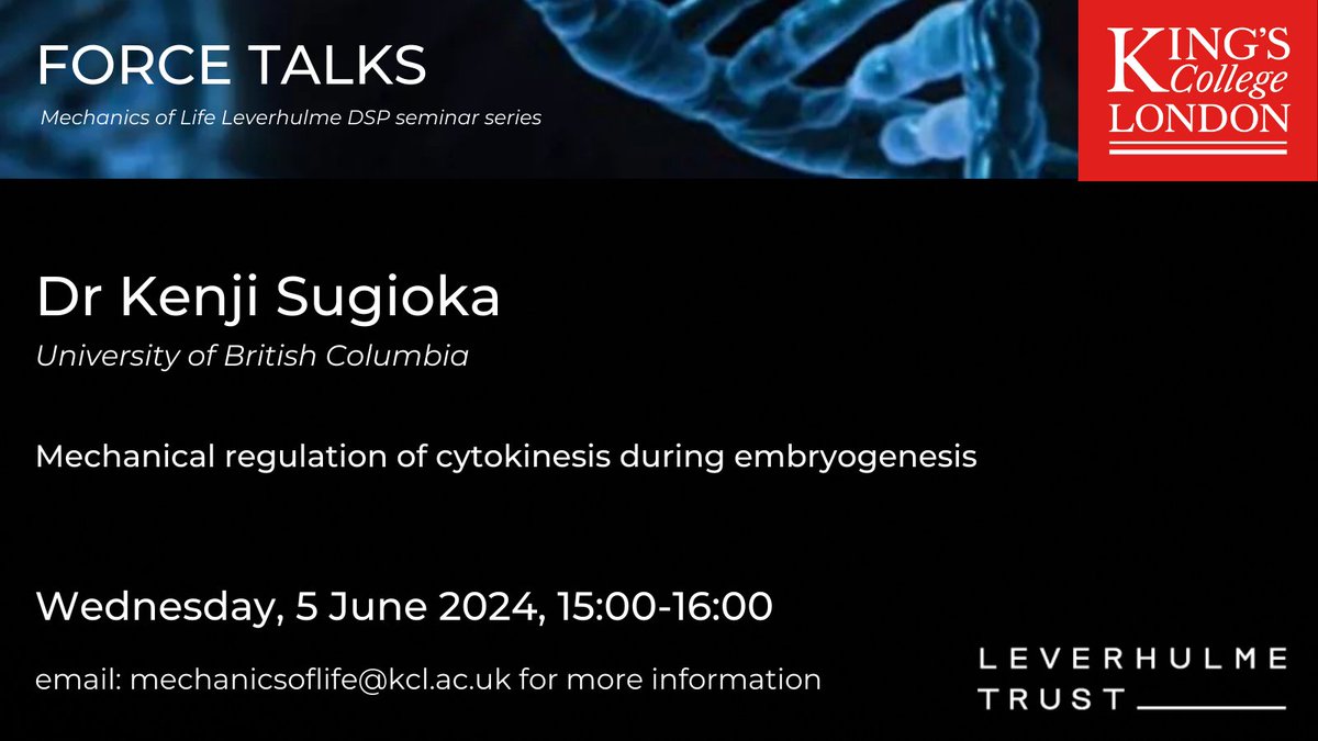 Join Dr Kenji Sugioka of @UBC for our final #ForceTalk for this academic year and learn about 'Mechanical regulation of cytokinesis during embryogenesis' 🗓️ 5 June 2024 🕒 15:00 - 16:00 BST Online and open to all, link register here 👉 kcl.ac.uk/events/force-t…