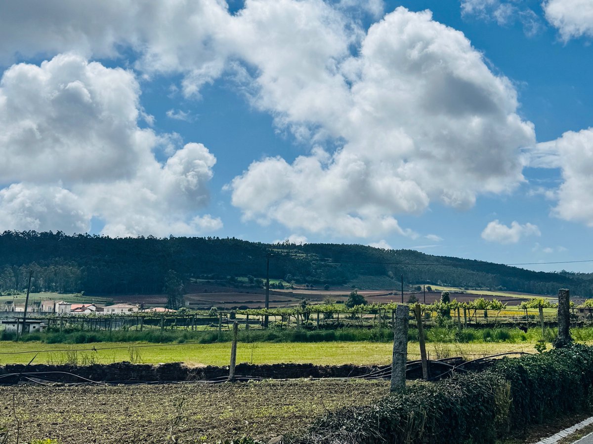 Portugal #hiking #CaminoDeSantiago