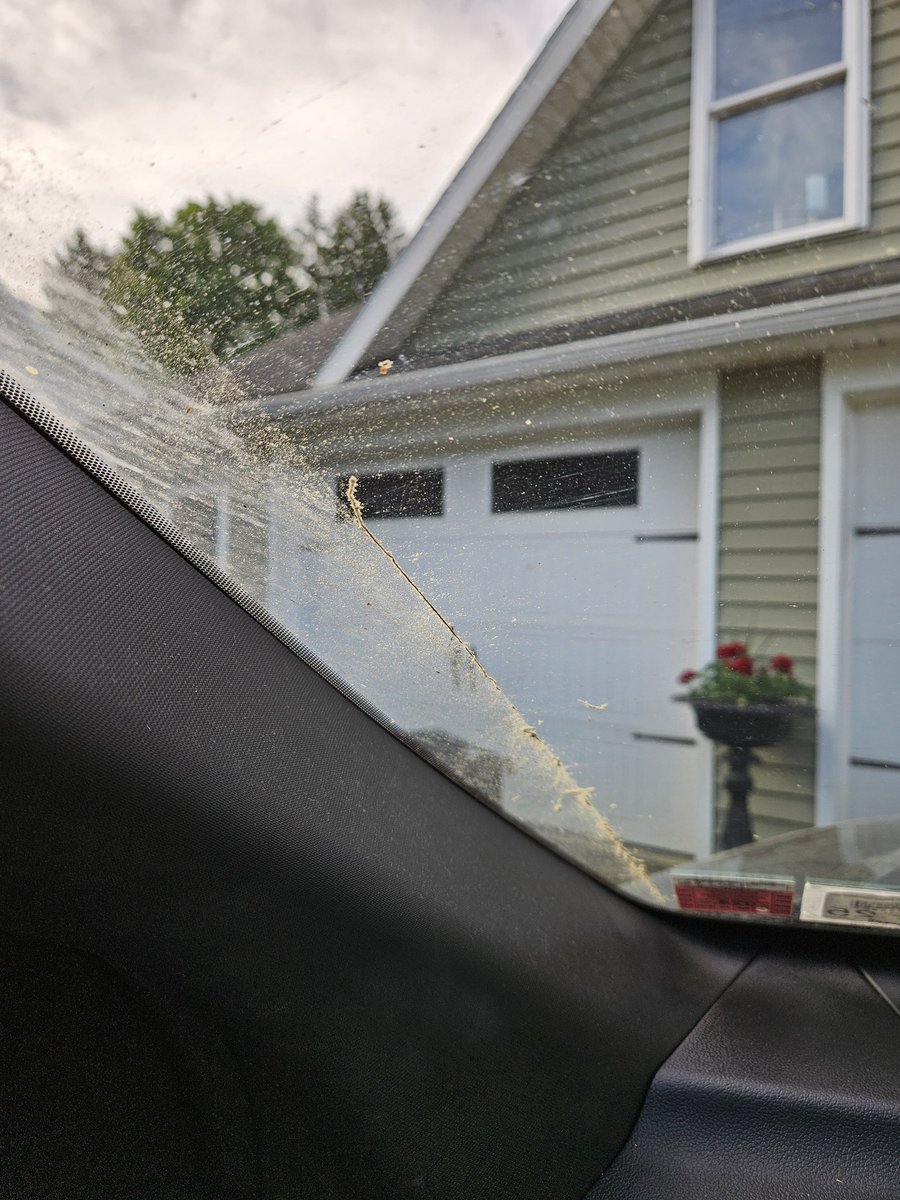 That's not dirt on our windshield, it's pollen! The pollen in Upstate NY today is thick!!!
