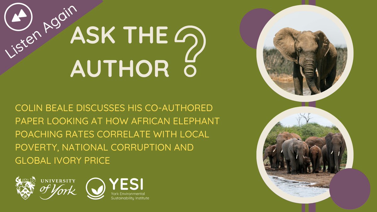 #ThrowbackThursday: Revisit our amazing #AsktheAuthor series! In this episode, @TZBirder explores his research on African elephant poaching rates, emphasizing that further progress requires action to reduce ivory demand + address corruption + poverty. ➡️ ow.ly/SOYm50RSn33
