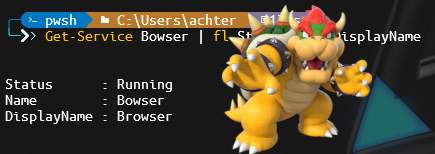 Who doesnt know it? Its the Bowser Service! :-D