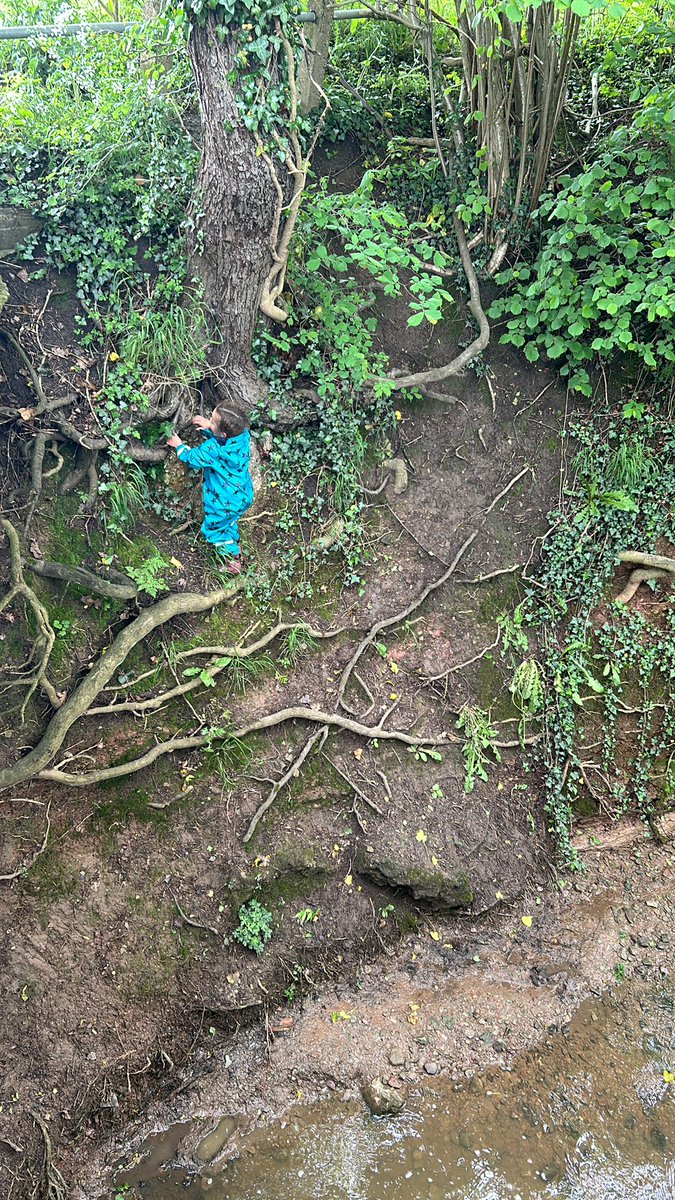 Katy__Perry's tweet image. Just a girl, and her dogs on an adventure