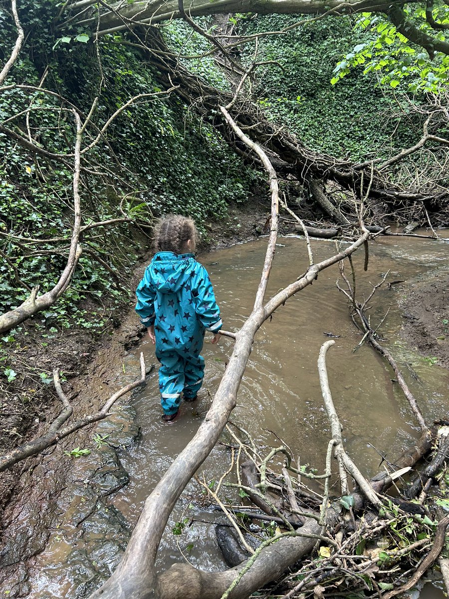 Katy__Perry's tweet image. Just a girl, and her dogs on an adventure