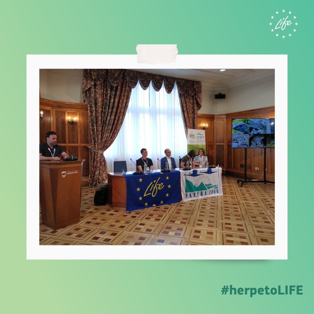 LIFEProgramme's tweet photo. LIFE Platform Meeting on Amphibian &amp; Reptile Conservation is taking place in Santander, Spain🇪🇸

Several #LIFEProjects are sharing their experiences to preserve &amp; protect these species in Europe🐸🦎

Follow #herpetoLIFE to be updated about the event: https://t.co/B40qUC8c3G https://t.co/dqrWyWsB6c