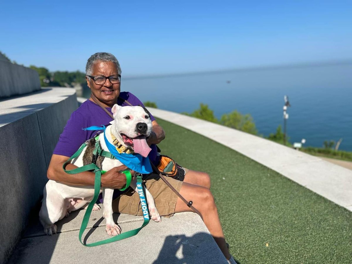 🗣️VOLUNTEERS NEEDED

🐶Want to walk dogs? Attend community events? Take dogs on hikes/runs? Help with in-kennel enrichment? 

💻Attend our June New Volunteer Orientation on 6/22 at 3:30 pm to learn more!

🌐Register here:
signupgenius.com/go/10C0B4EA5A9…

#volunteer #dogs #giveback