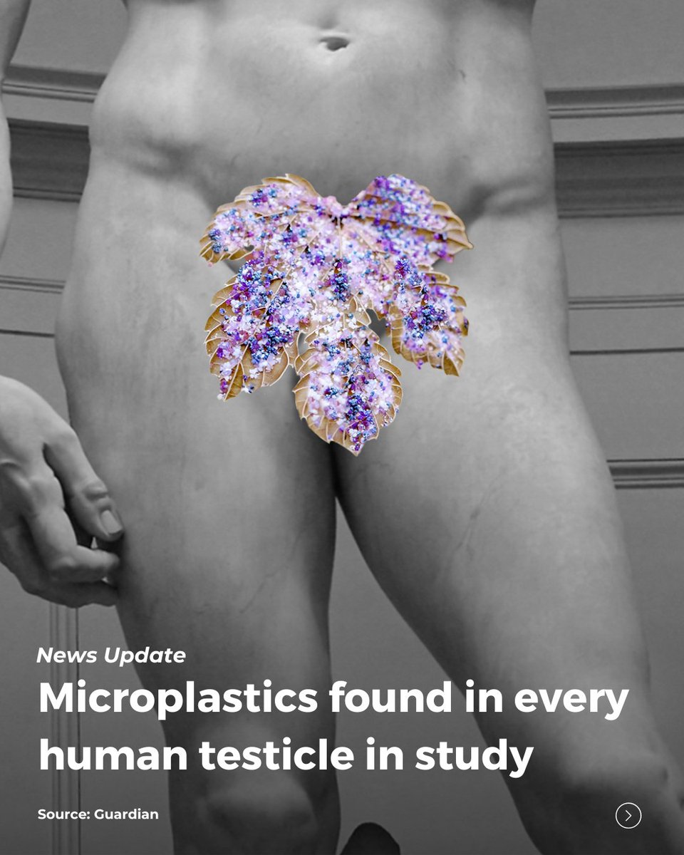 Microplastics have been found in the reproductive system and may be linked to a decline in sperm count. 

To minimize exposure, avoid single-use plastic items like bottles, bags, and packaging, and microwaving food in plastic.

Full article: theguardian.com/environment/ar…