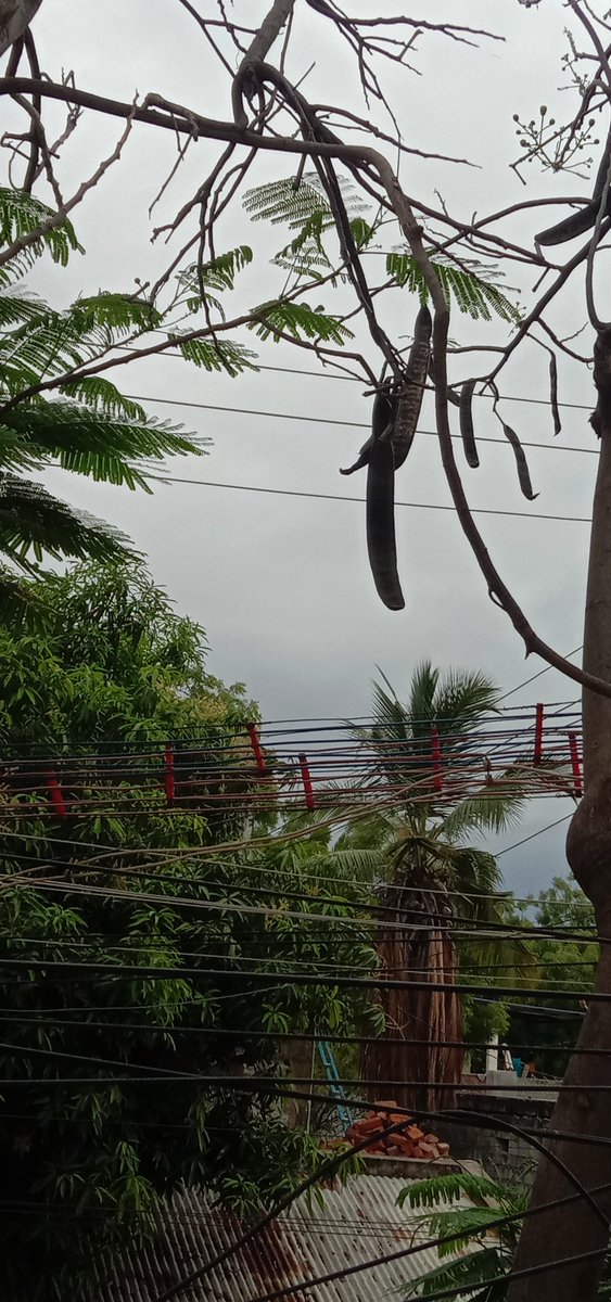 tuticorin city getting ready thunderstorms development very close to us 6.35pm