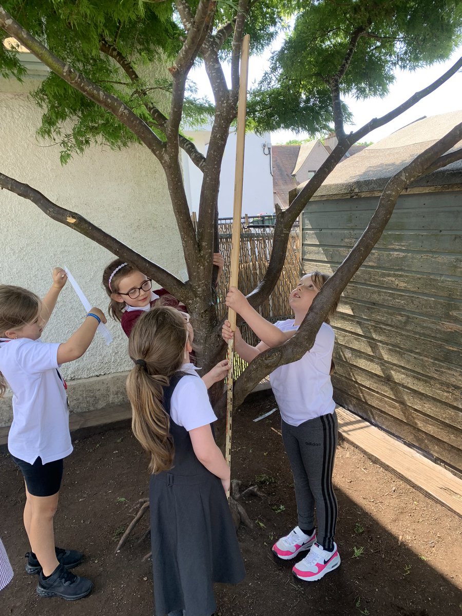 Measuring outside last week 🌲