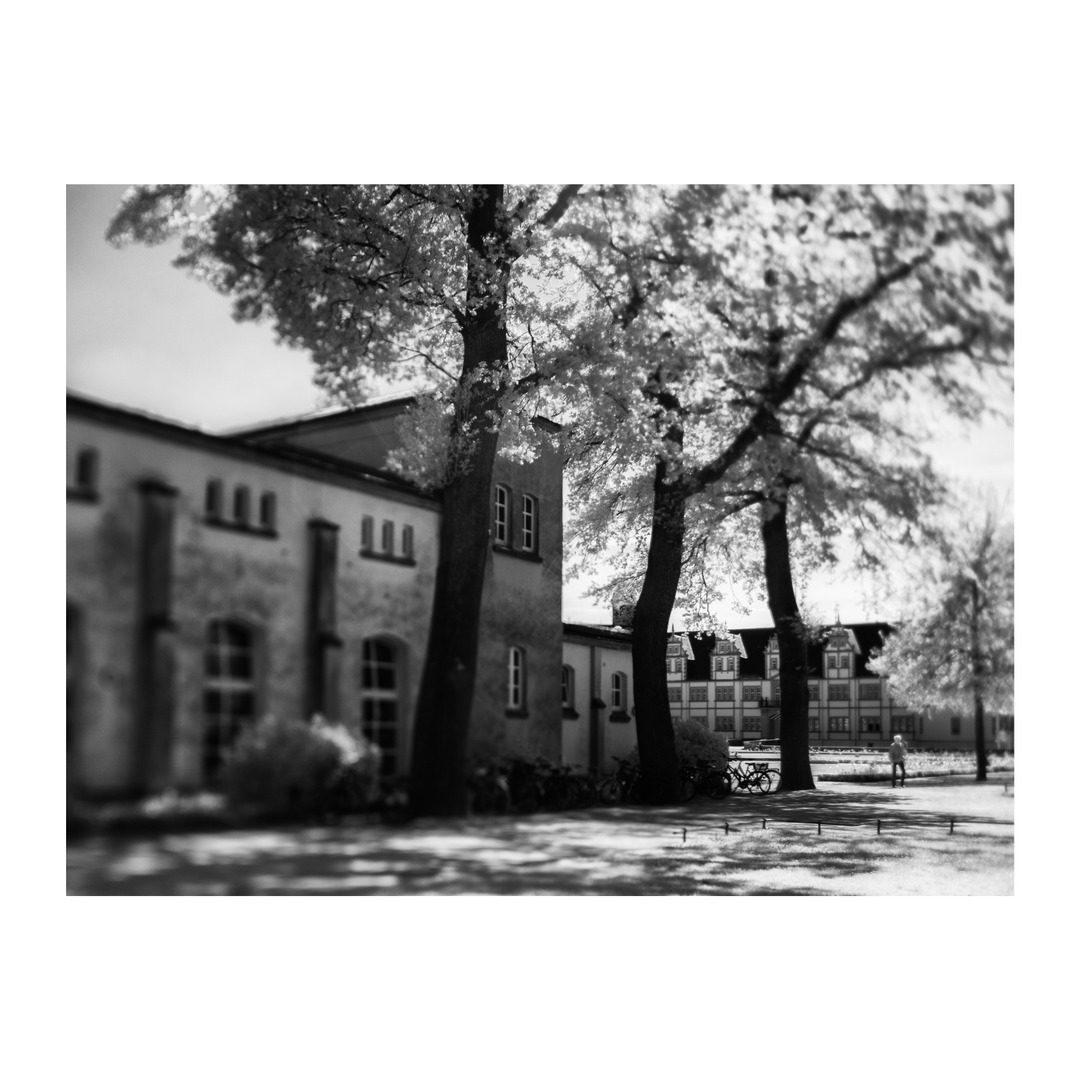 Stu McKenzie tweet media