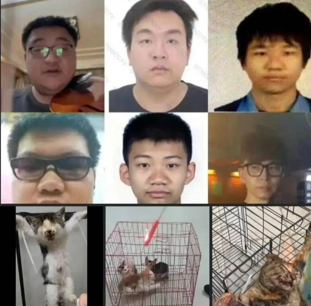 @Echinanews Y estos gatitos víctimas del clan de tortur4 de China? no merecían vivir también? Por qué permiten el abuso de animales en China?? No nos van a engañar más!!!🤬🤬🤬 #StopChinaCatTorture
#CatAbuserChina
#China #DontFuckWithCats